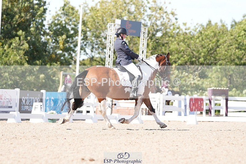 250906-151559-04699 - 112-Mel.DayDolderwydd.lucky.Maisie