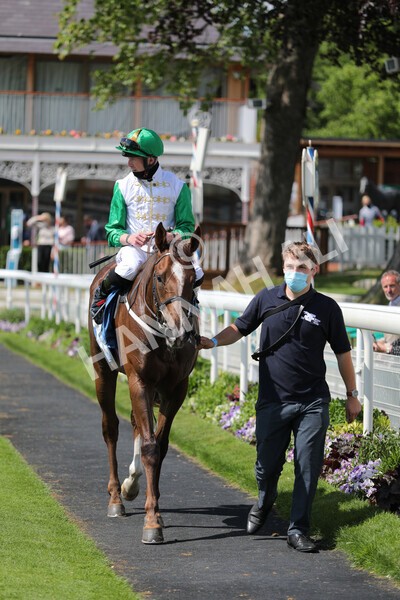 yr11062021r3-35 - Race 3 2.55pm SKF Rous Selling Stakes