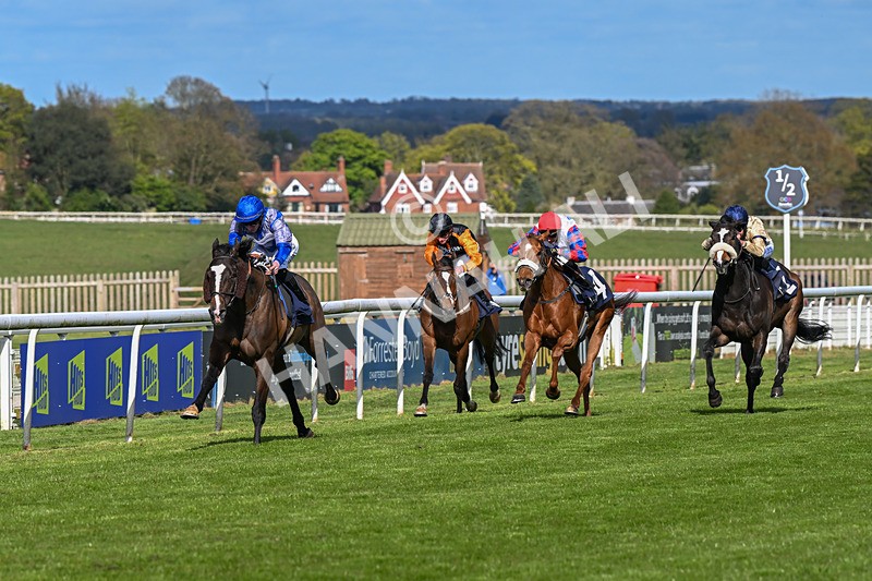 250424-Race 5-Arthurs Realm-1528 - Race 5