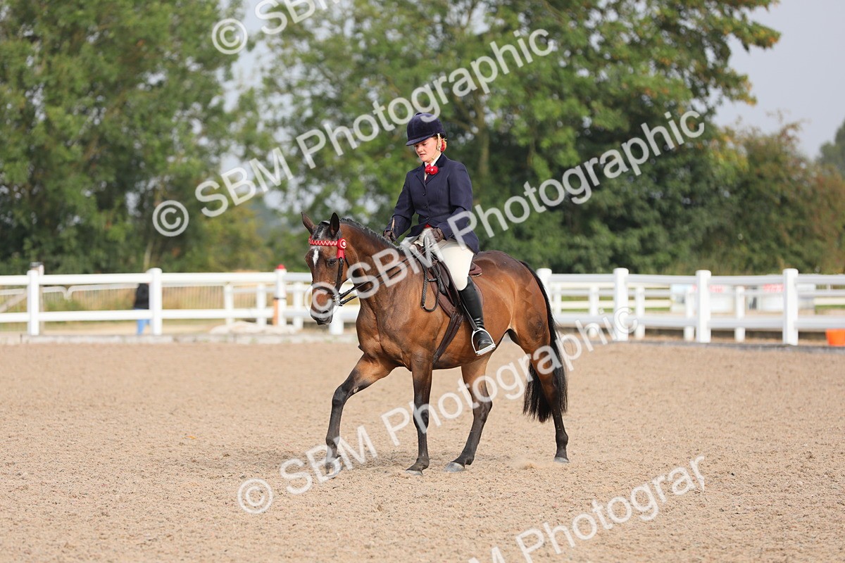 SBM_10689 - Class 303 Ridden Pure Bred Horse/Pony (excl M&M)