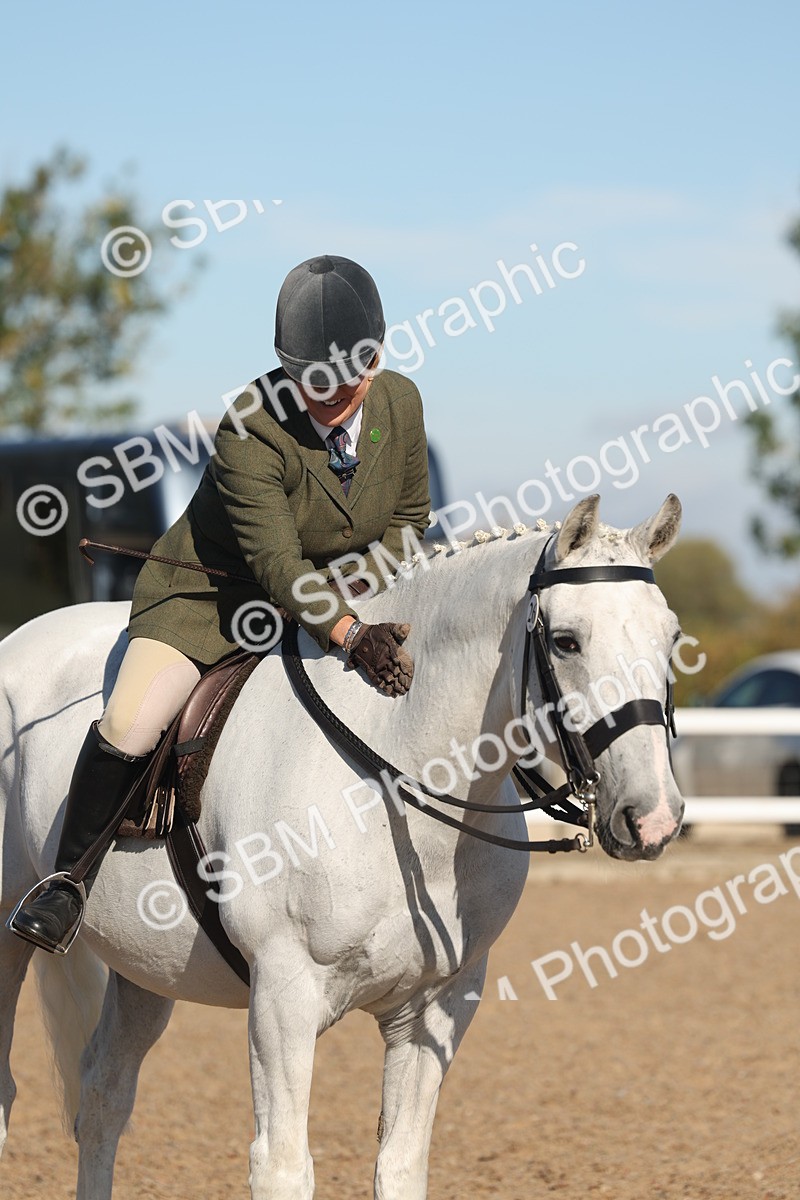 SBM_12229 - Class 303 - Ridden Pure Bred Horse Pony