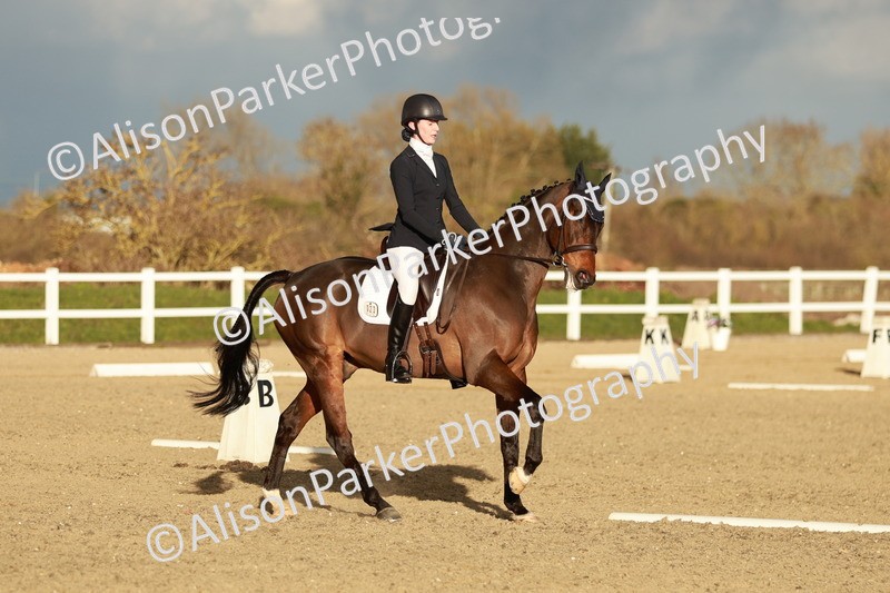 20260314-6374 - CT7 - Elementary 2