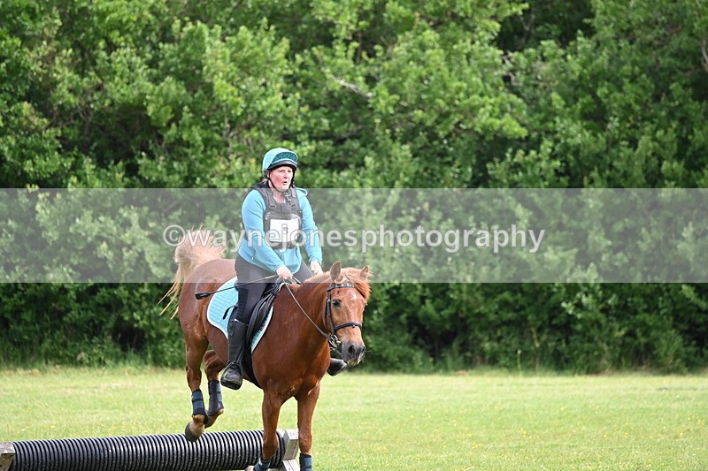 WJ6_2238 - Class 2 40cm