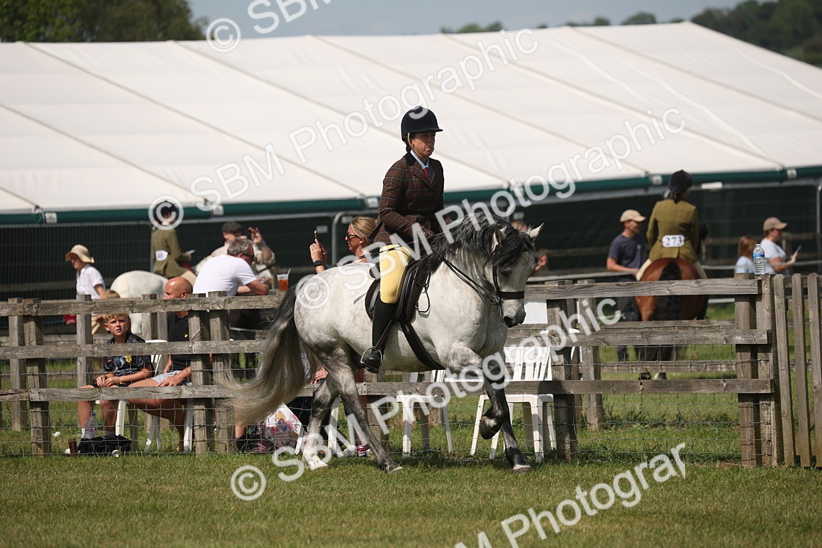SBM_07589 - Class 26-30 - Mountain and Moorland Ridden