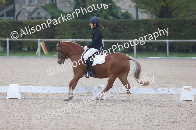 20251012-0083 - Class 1 - Prelim 5