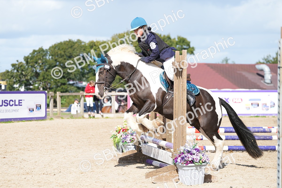 SBM_18205 - J58 - Clear Round 50cm