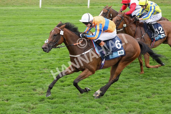 yr18082022r7-25 - Race 7 5.20pm British Stallion Studs EBF Fillies' Stakes