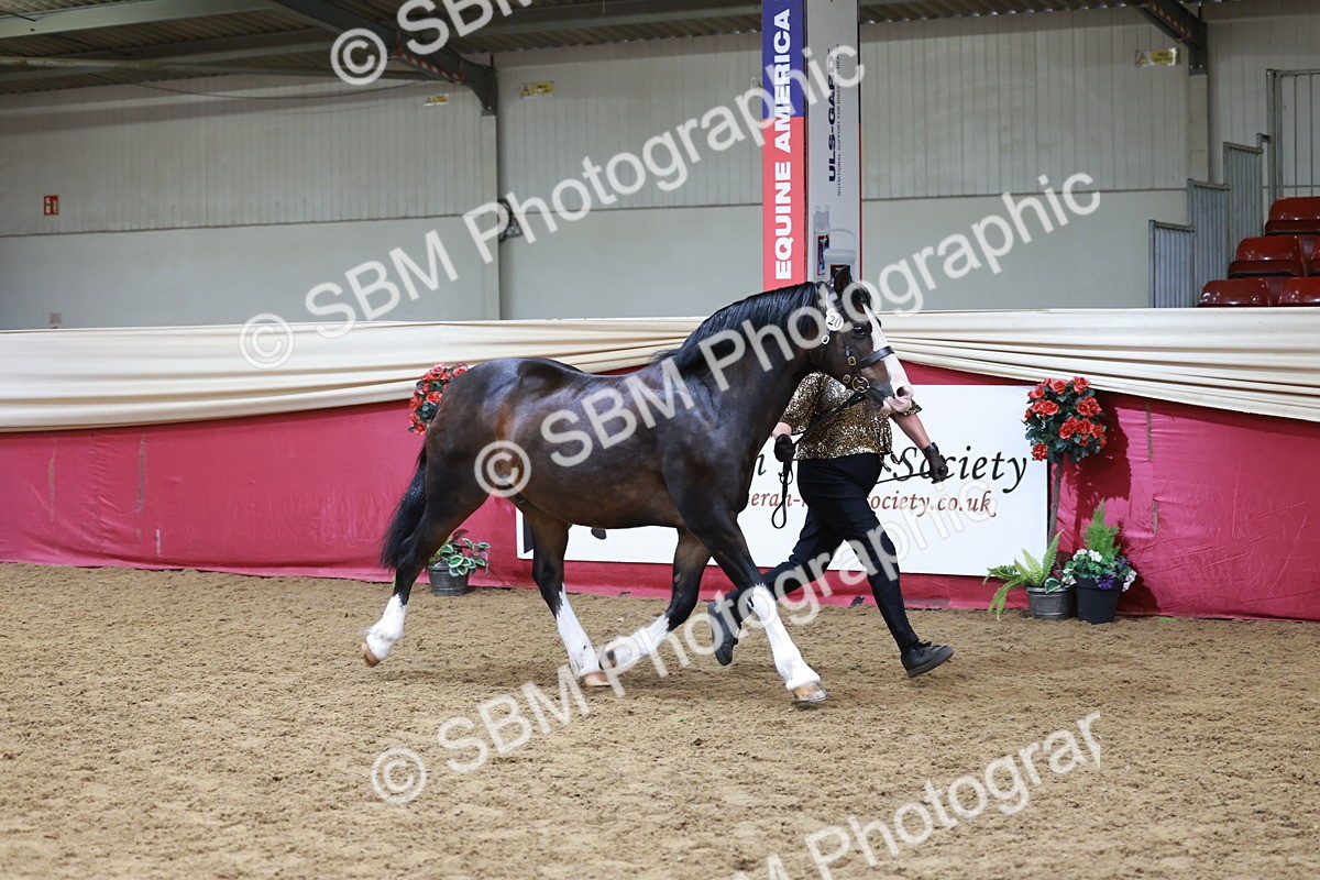 SBM_17415 - Class 951 - M&M IH Supreme Final