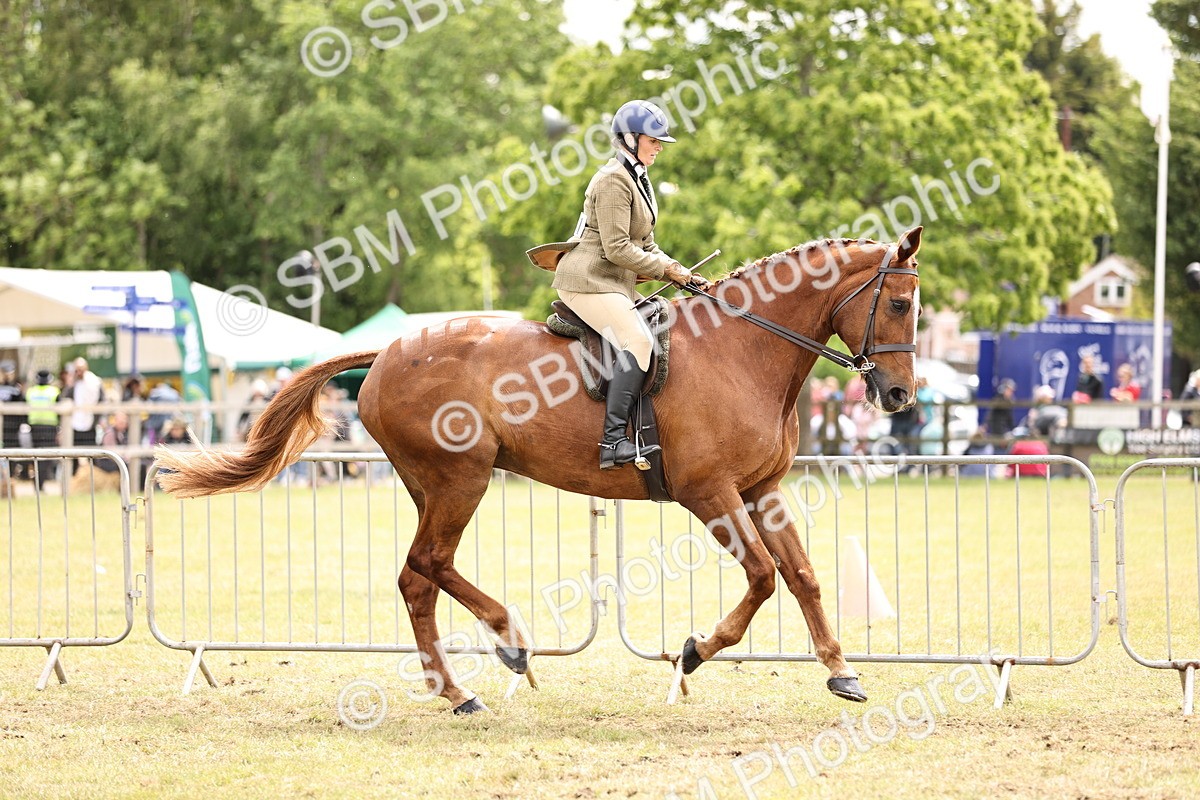 SBM_14671 - Class 88-89 - LIHS BSHA Rising Star of Ridden Hunter Type
