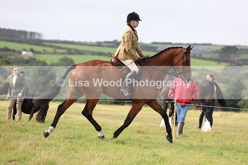 3E7A3915 - Class 4: Best Combination Open