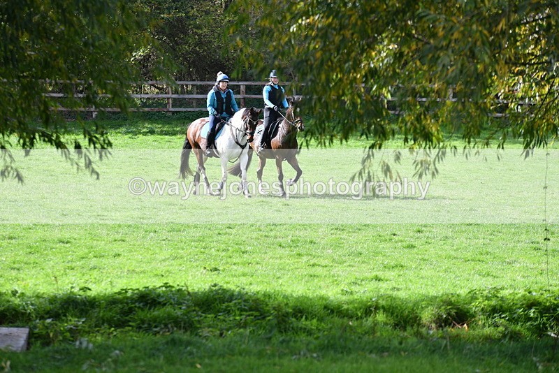 WJ5_8382 - Time 12:02 to 12:32