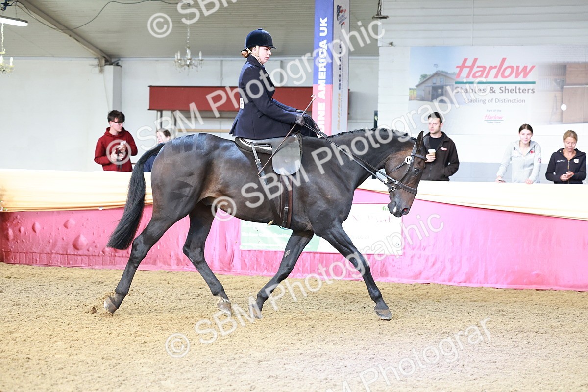 SBM_11949 - Class 102 - Equitation (Best Rider) Adult