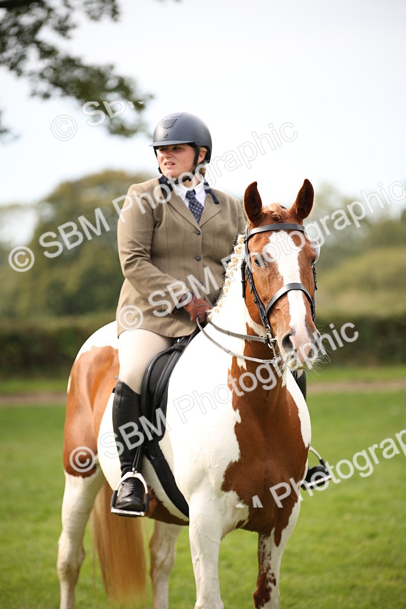 SBM_70441 - S66 - Hunter Ridden