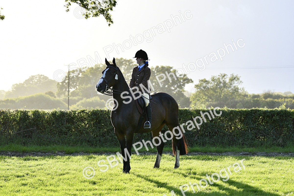 SBM_53573 - S14 - Riding Club Horse