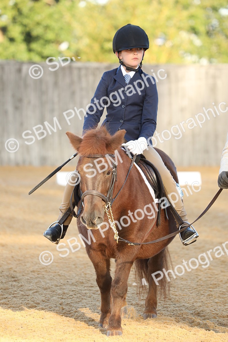 SBM_33614 - D26 - Starers - Lead Rein