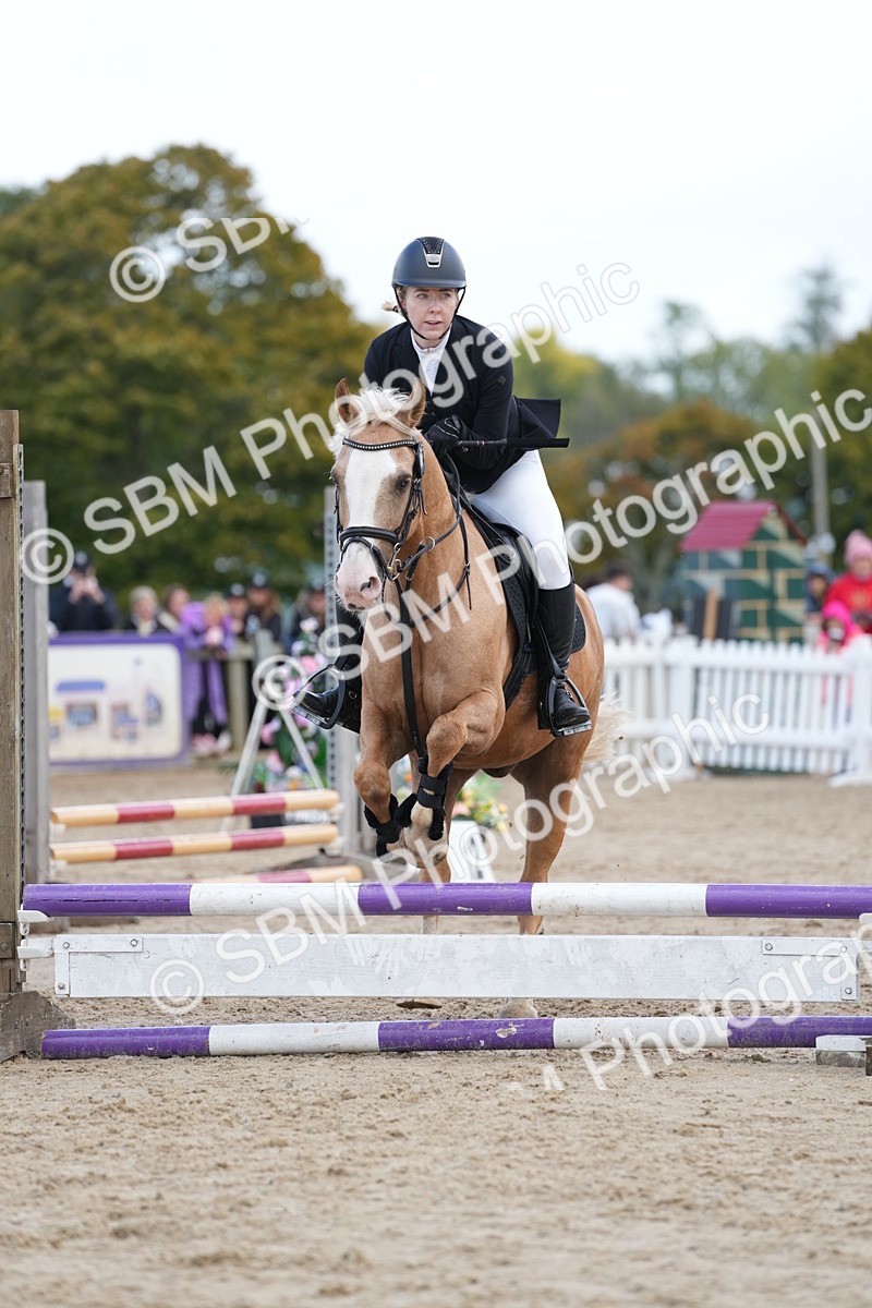 SBM_21081 - J49 - Open 50cm