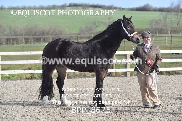 BPP_8675 - RING 2 - M&M