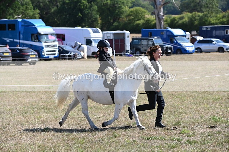 WJ6_7845 - Class 36 Lead Rein