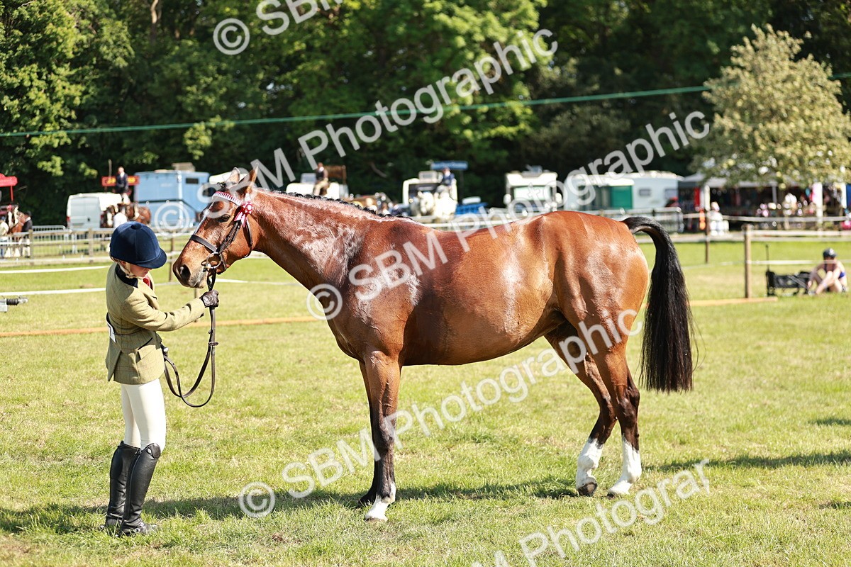 SBM_18919 - Class 114 - RIHS & SEIB Open Working Show Horse