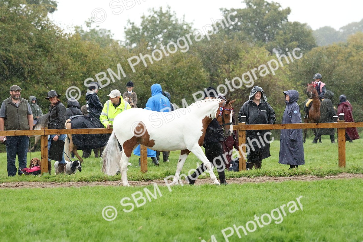 SBM_35333 - S10 - Best In Hand Horse & Pony