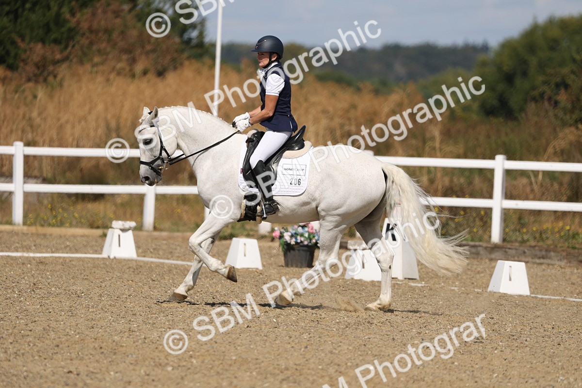 SBM_013590 - Class 1 - P5 Bronze 10.38.12.02