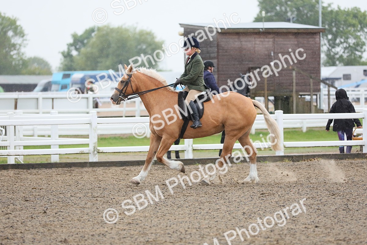 SBM_20345 - Class 803 - Ridden Combination 65+