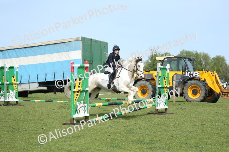 20260426-1652 - Class 14 - Novice 60cm
