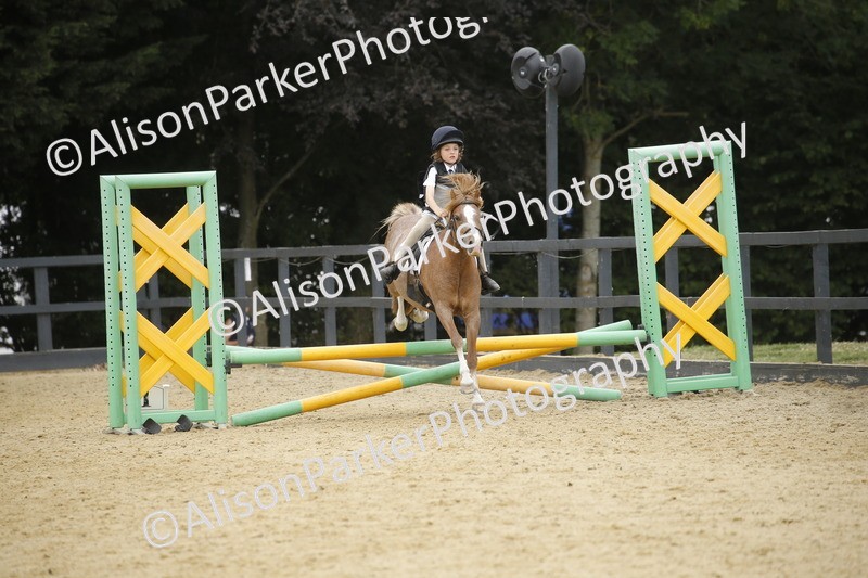 20250622-6130 - 60cm