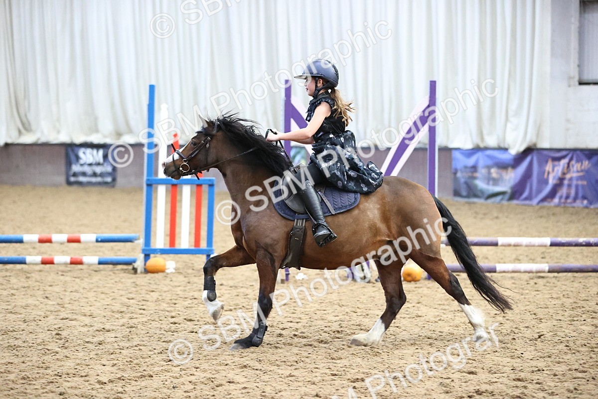 SBM_000285 - Class 2 - Show Jumping 50cm