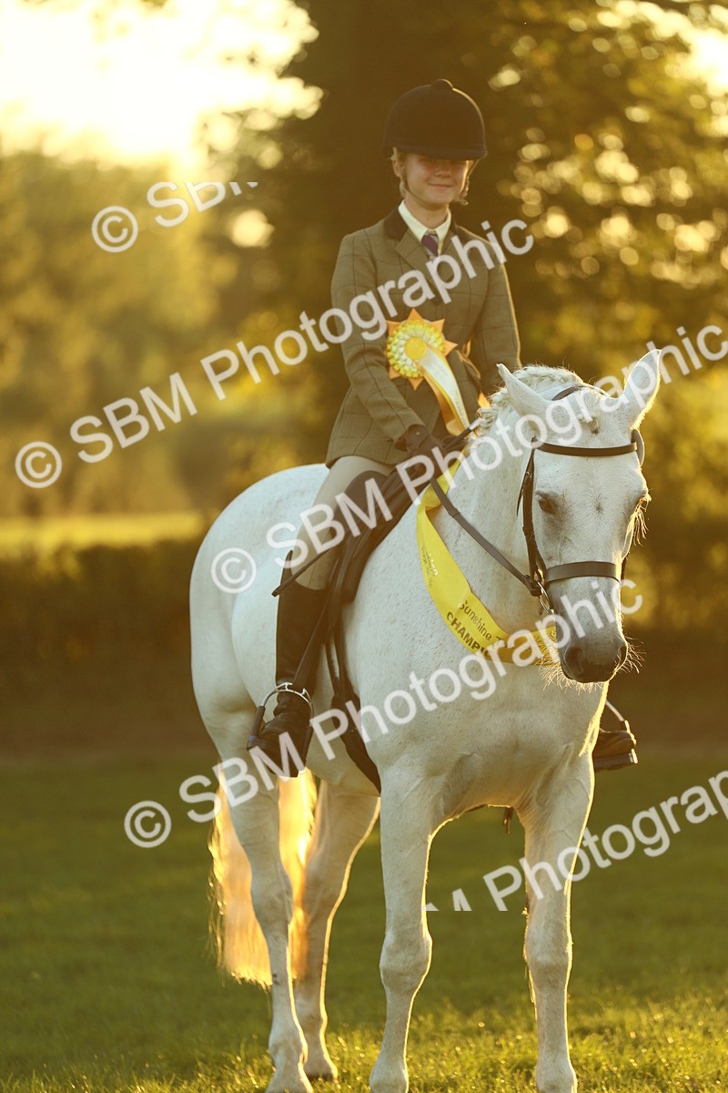 SBM_56648 - Fun & Versatile Supreme Championship