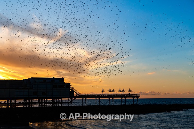 ANT_2068-1 - Aberystwyth_02