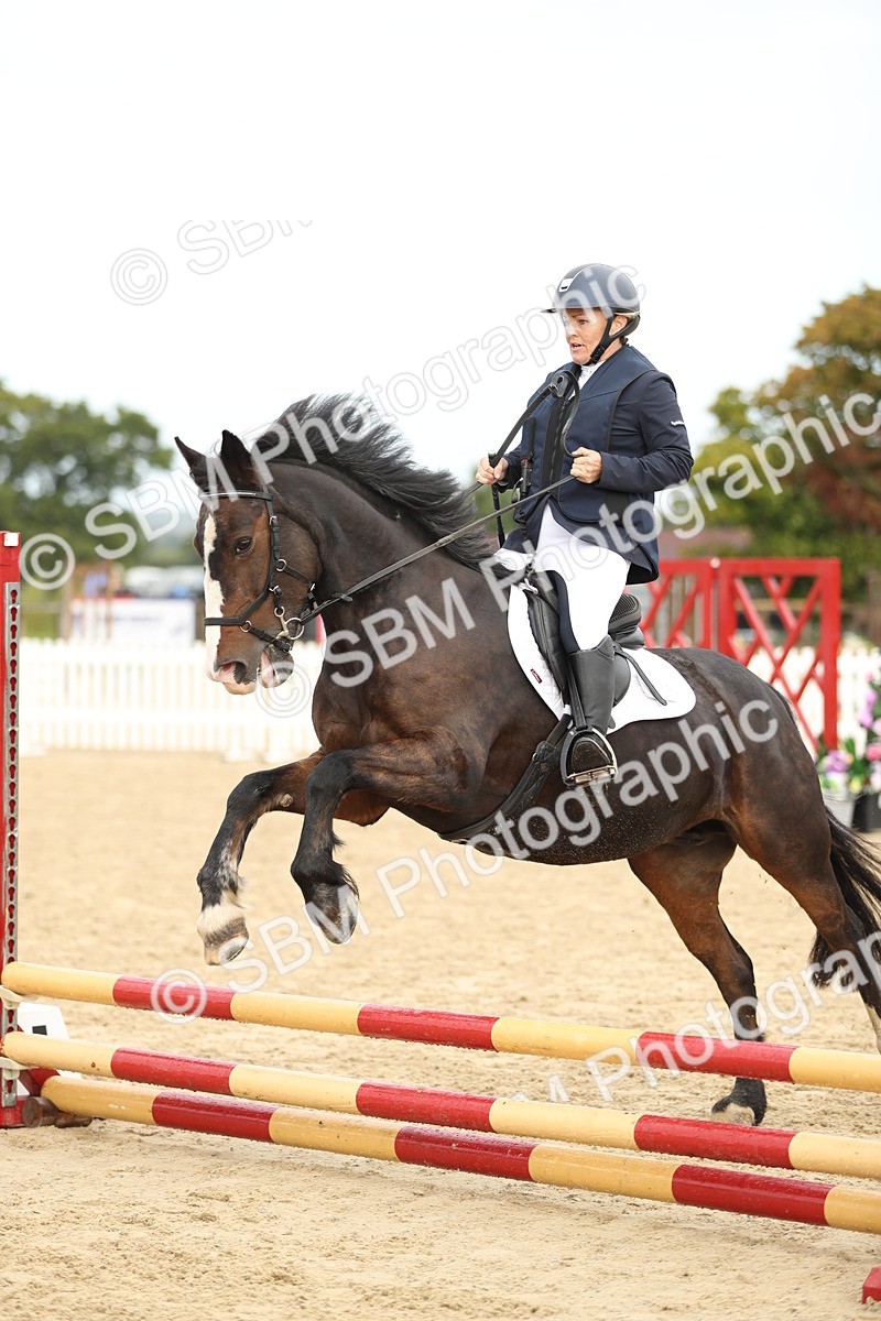 SBM_02009 - J34 - Veteran Rider 50cm