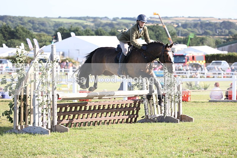 JPP_3142 - Class 21: Working Hunter 80cm