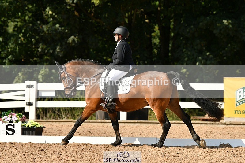 250817-161020-11501 - 049-Carolyn.GaleNewtown.Ringo