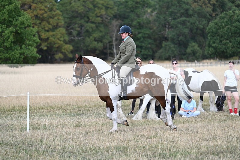 WJ7_7276 - Class 14 Ridden Coloured