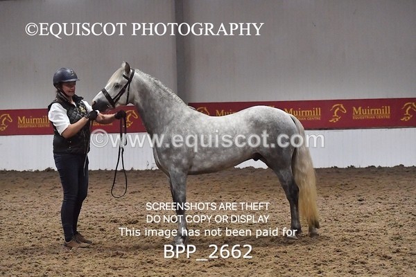 BPP_2662 - LOOSE JUMPING / SPSS