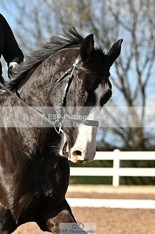 241214-132652-02433 - 119-Rosey.Bradburn-High.Spirits.II