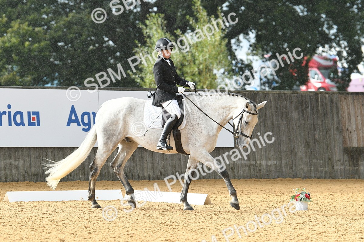 SBM_11169 - D28 Elementary Taster Elementary 42