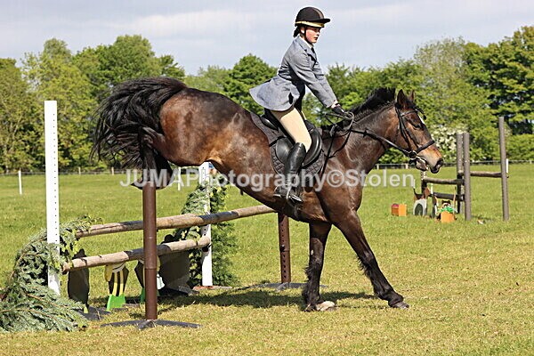 IMG_4774 - Working Hunter