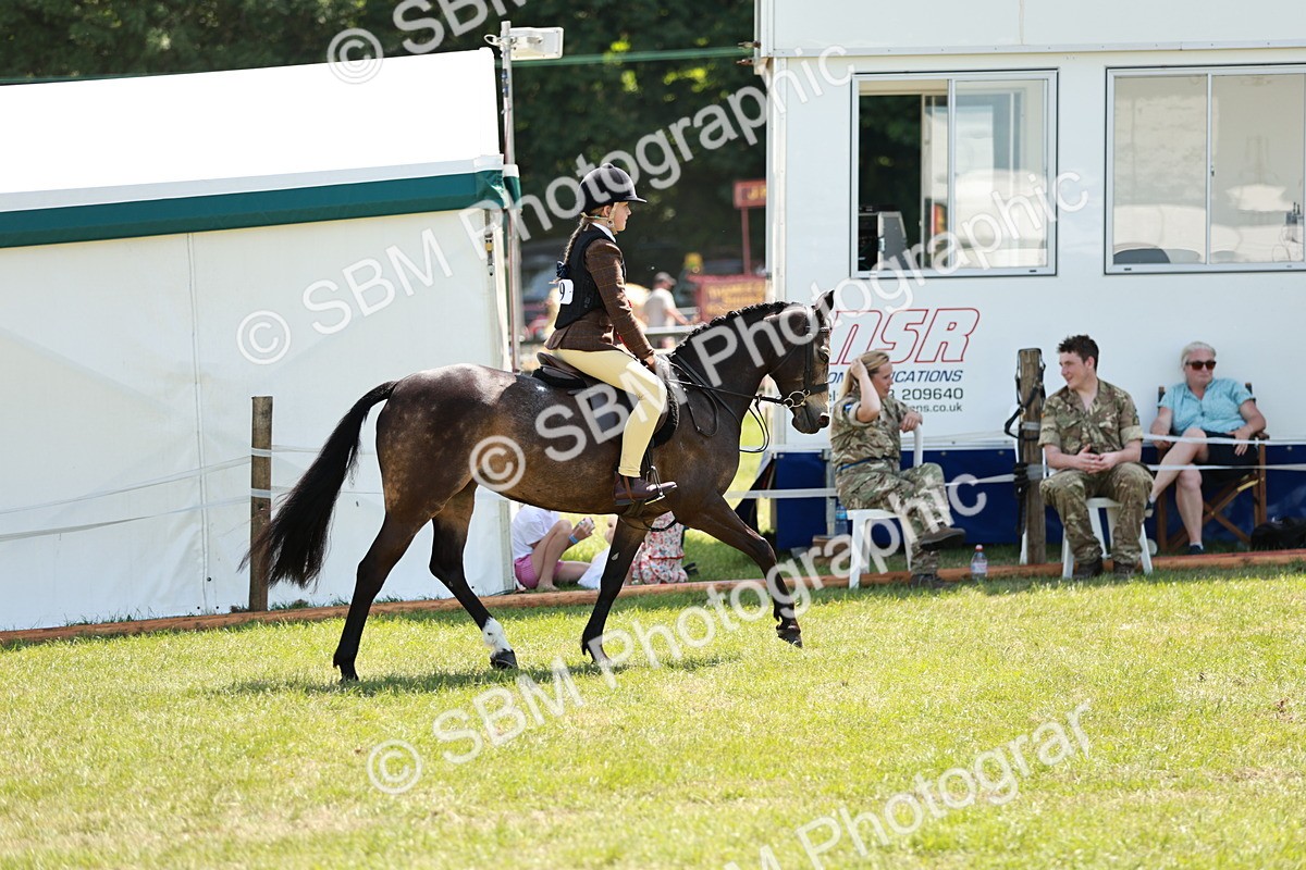 SBM_15777 - Class 108-109 - BSPS LIHS Open Gradle & Nursery Stakes