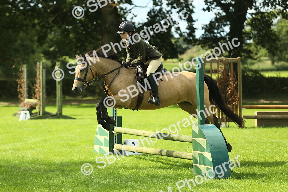 SBM_42860 - S30 - M&M Working hunter Pony