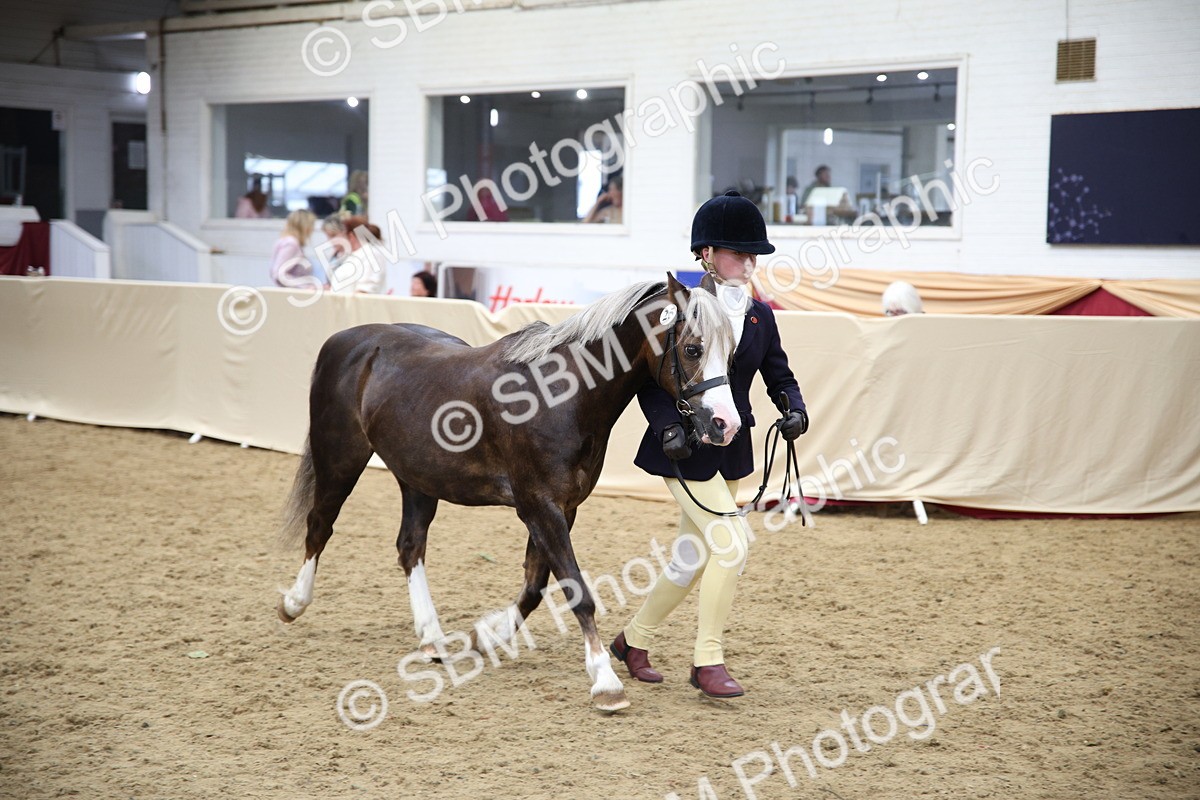 SBM_23387 - Class 904 - Supreme Final Ridden Diamond