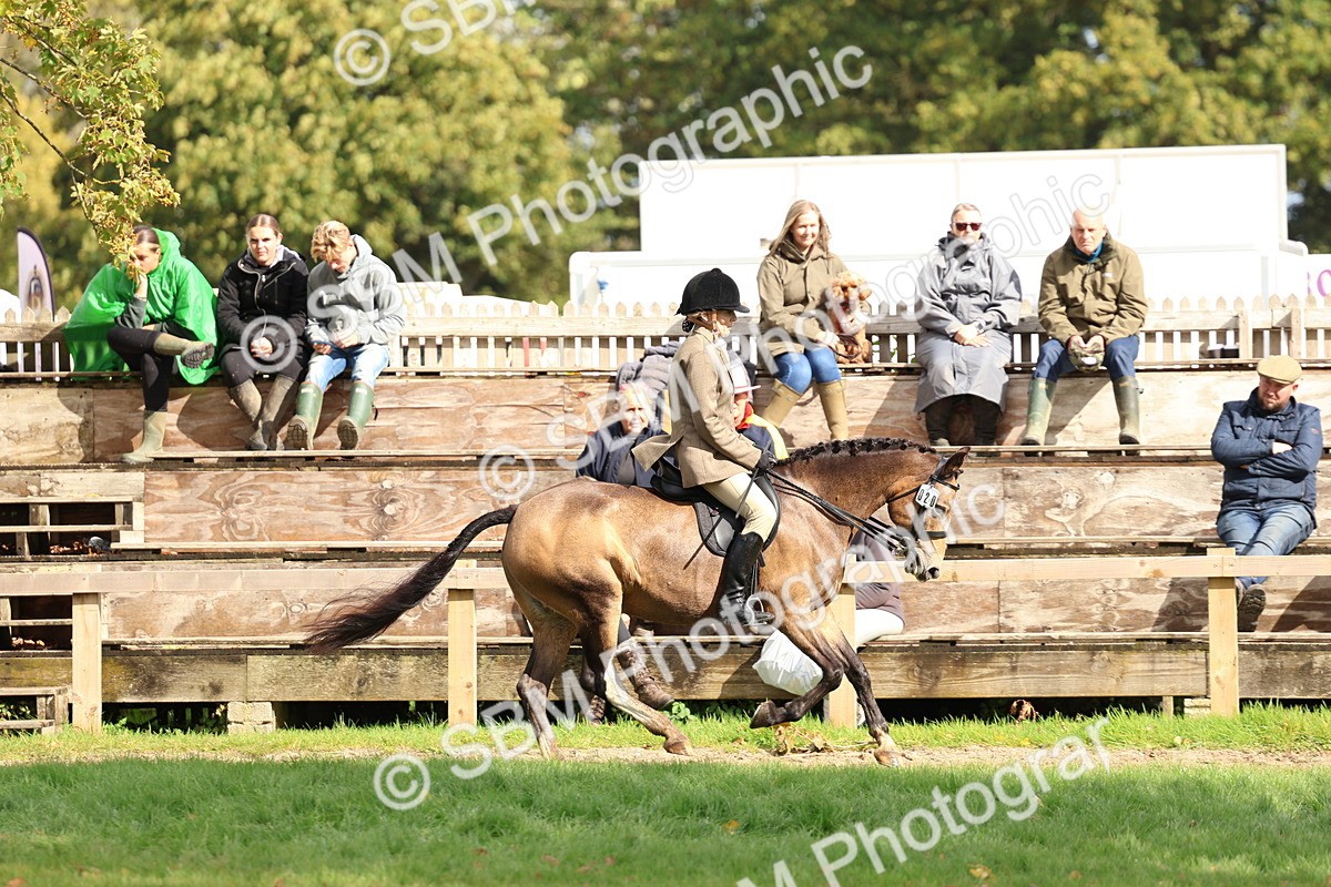 SBM_47720 - S28 - Veteran Ridden