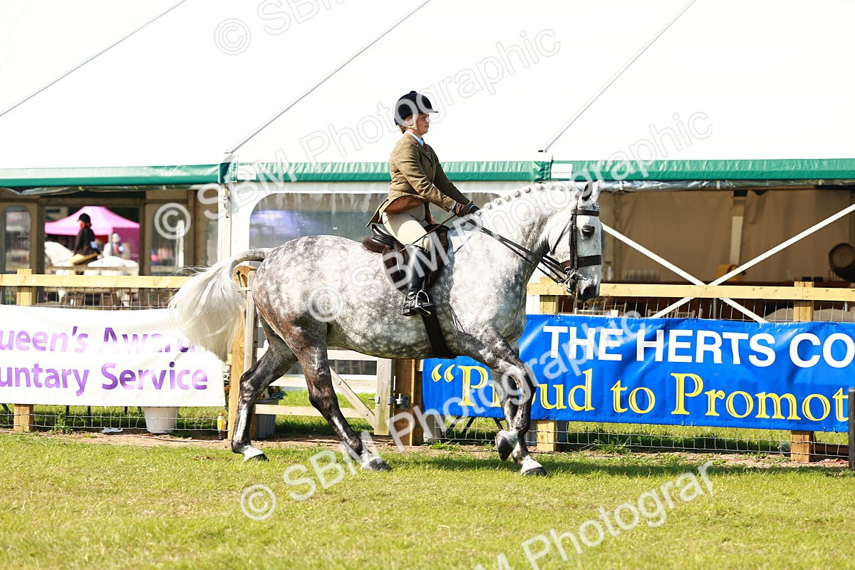 SBM_11924 - Class 66-69 - RIHS Ridden Hunters Inc Small Hunter