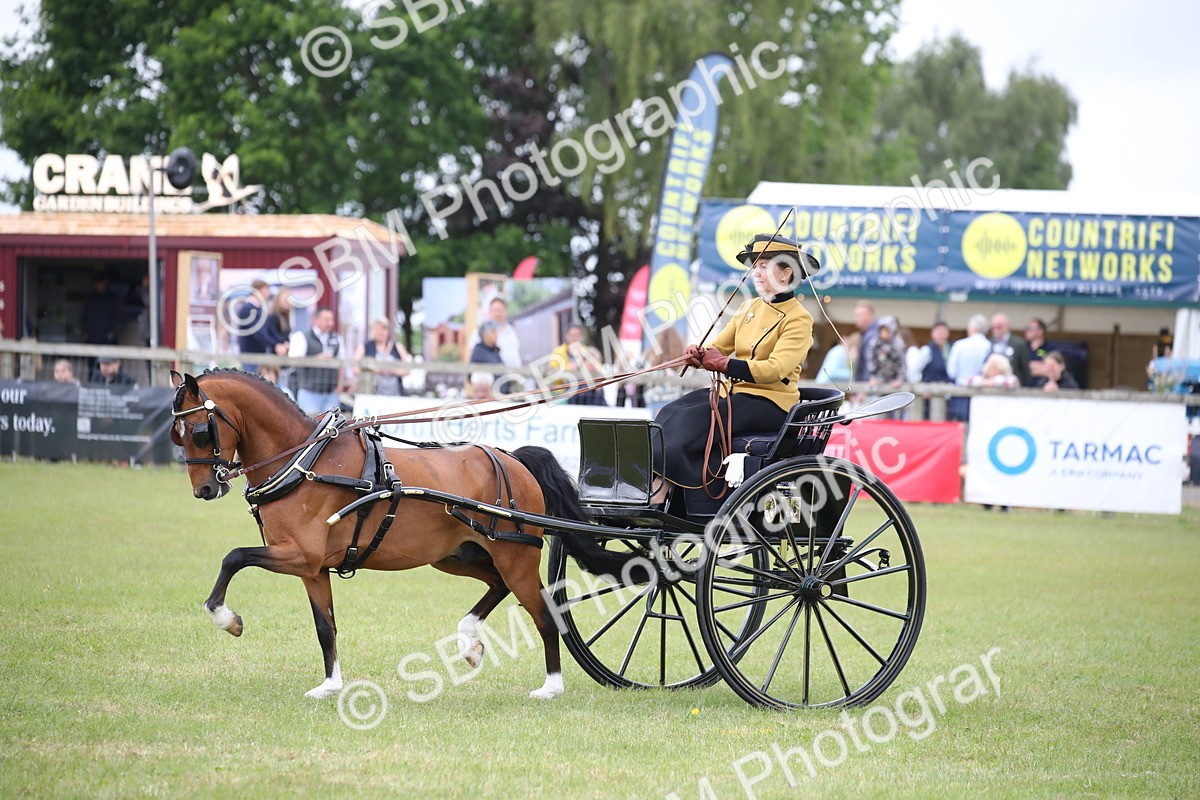 SBM_05840 - Class 12-15 - HOYS Private Driving