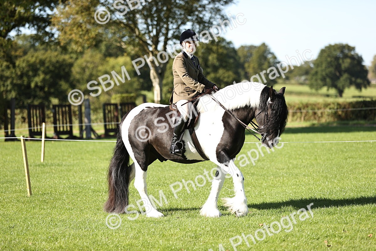SBM_16866 - S2 - TSR Ridden Pony Showing