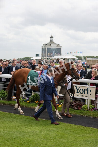 yr13052022r4-19 - Race 4 3.35pm The Paddy Power Yorkshire Cup (British Champions Series Race)
