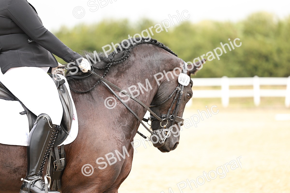 SBM_001896 - Class 8-11 - N2 E1 Warm Up - 12.27-12.59