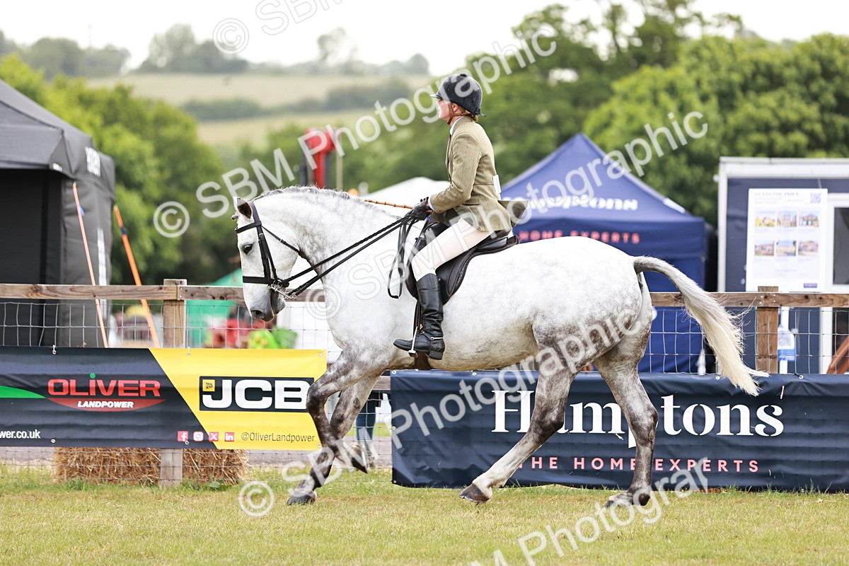 SBM_10774 - Class 81-84 - RIHS Ridden hunters Inc Ladies Hunter