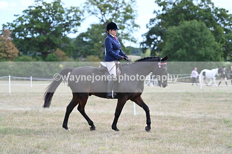 WJ7_5967 - Class 13 Ridden Veterans